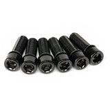 Salt Fester Stammschrauben eingestellt