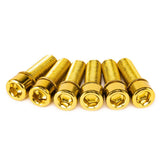 Salt Fester Stammschrauben eingestellt