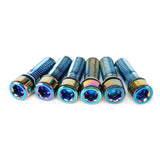 Salt Fester Stammschrauben eingestellt