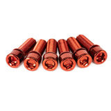 Salt Fester Stammschrauben eingestellt