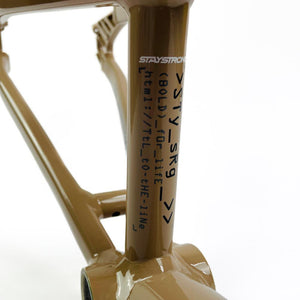 Stay Strong For Life 2024 V5 Expert Race Frame - Disc Frame