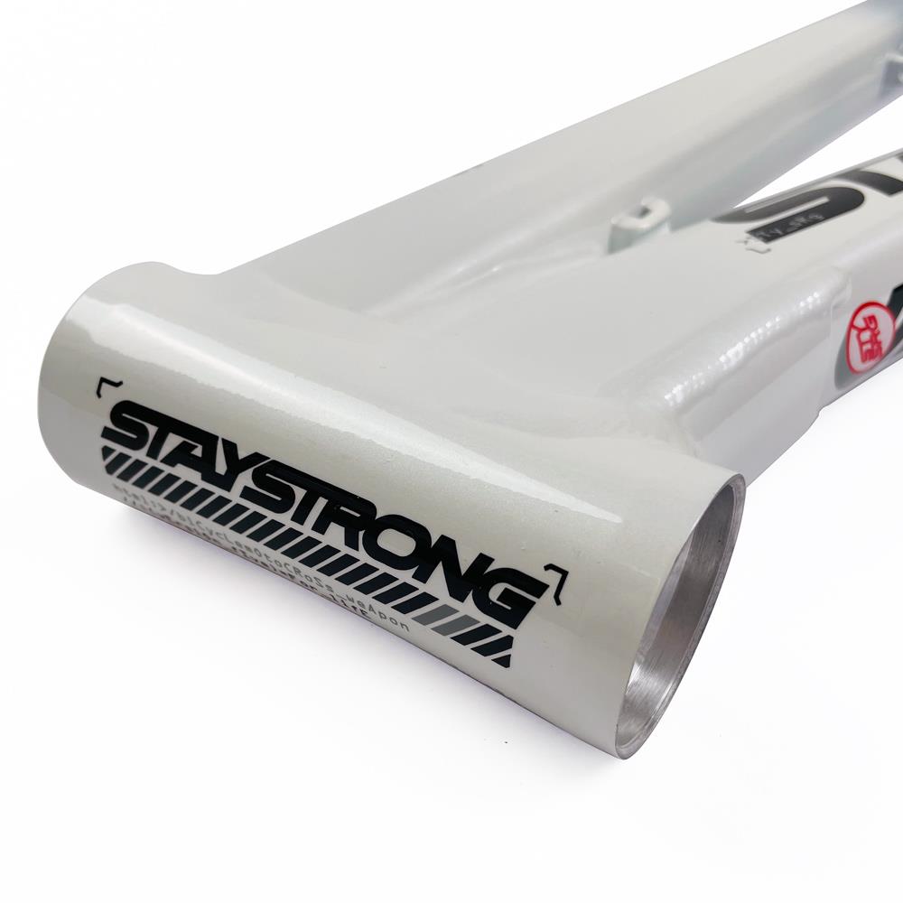 Stay Strong For Life 2024 V5 Expert Race Frame