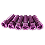 Salt Fester Stammschrauben eingestellt