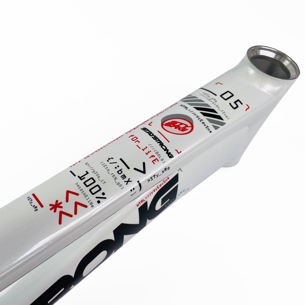 Stay Strong For Life 2024 V5 Expert Race Frame