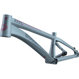 Stay Strong For Life V4 Junior Race Frame