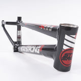 Stay Strong Per la vita 2023 V4 Expert XL Gara Telaio - Disco Versione
