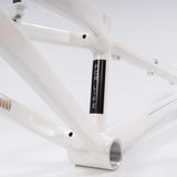 Stay Strong For Life 2023 V4 Cruiser Expert XL Race Frame