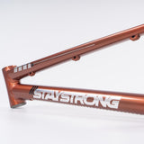 Stay Strong Per la vita 2023 V4 Expert XL Gara Telaio