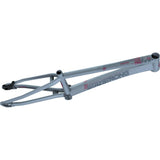 Stay Strong For Life V4 Junior Race Frame