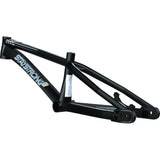 Stay Strong For Life V4 Expert Race Frame