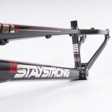 Stay Strong Per la vita 2023 V4 Expert XL Gara Telaio - Disco Versione