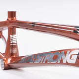 Stay Strong Per la vita 2023 V4 Pro XXXXL Gara Telaio - Disco Versione