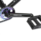 Radio Evolve BMX Bike